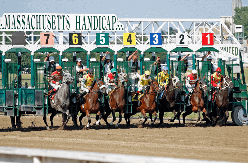 Explication des courses de chevaux